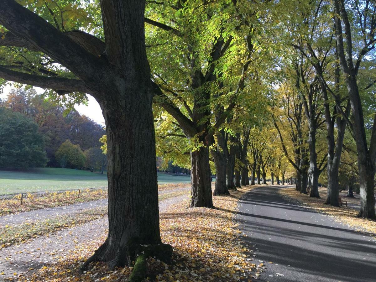 Suite Mit Blick Auf Die Lichtentaler Allee Baden-Baden Eksteriør billede