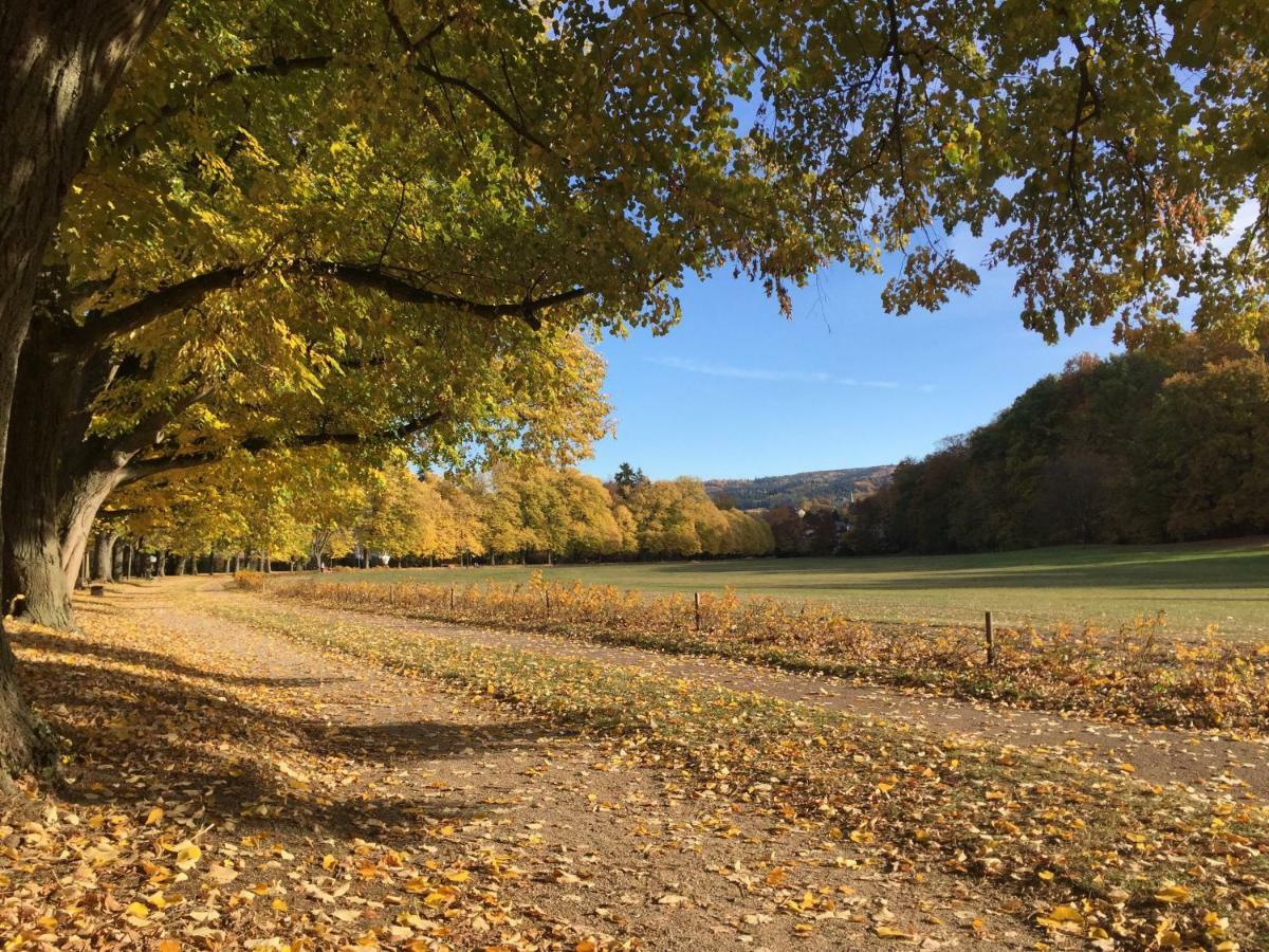 Suite Mit Blick Auf Die Lichtentaler Allee Baden-Baden Eksteriør billede